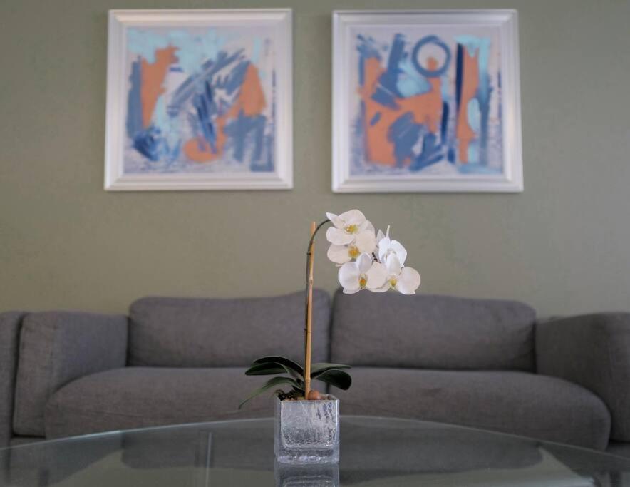Urban Executive Stay San José Kültér fotó